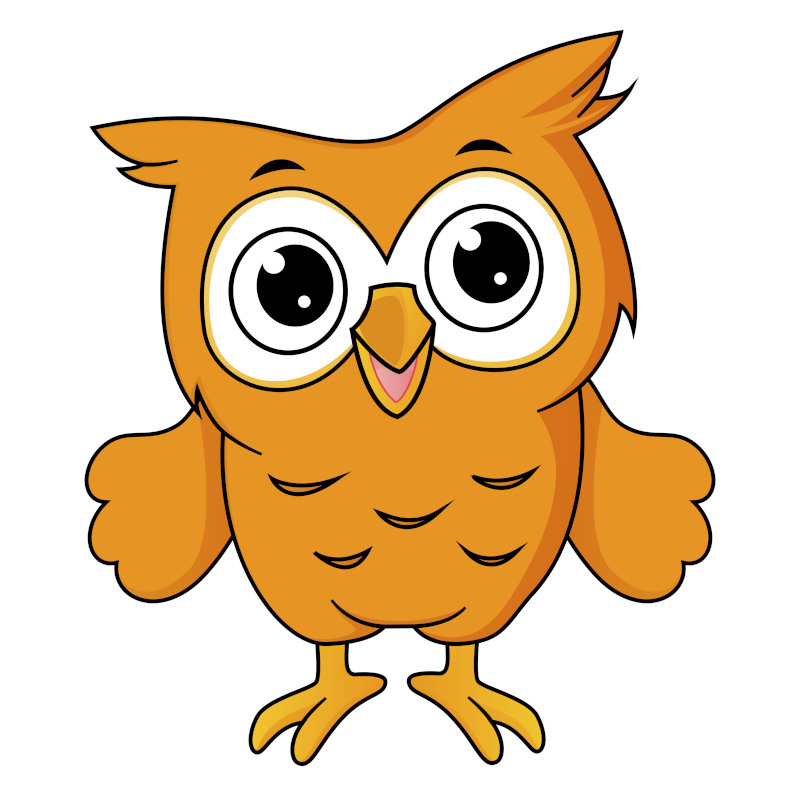 Cute Owl Cartoon